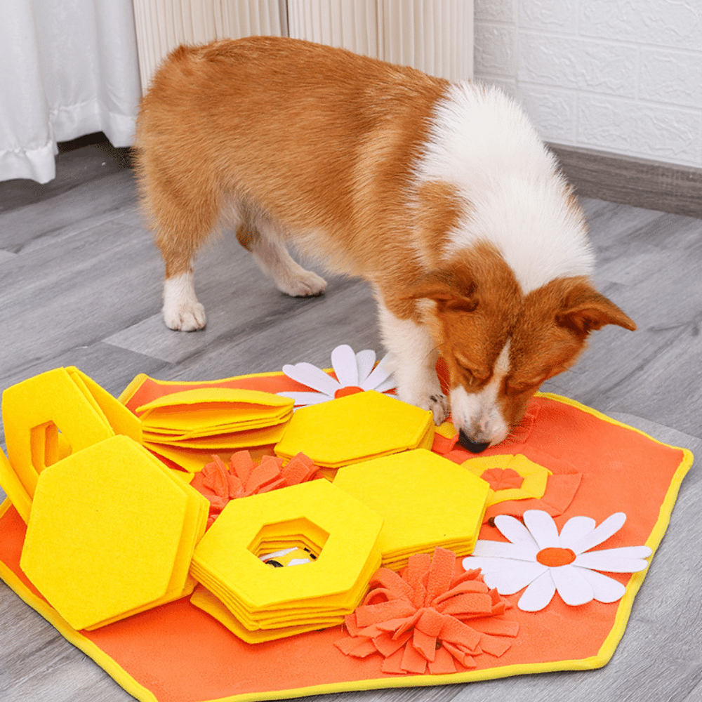 Bee Honeycomb Snuffle Mat