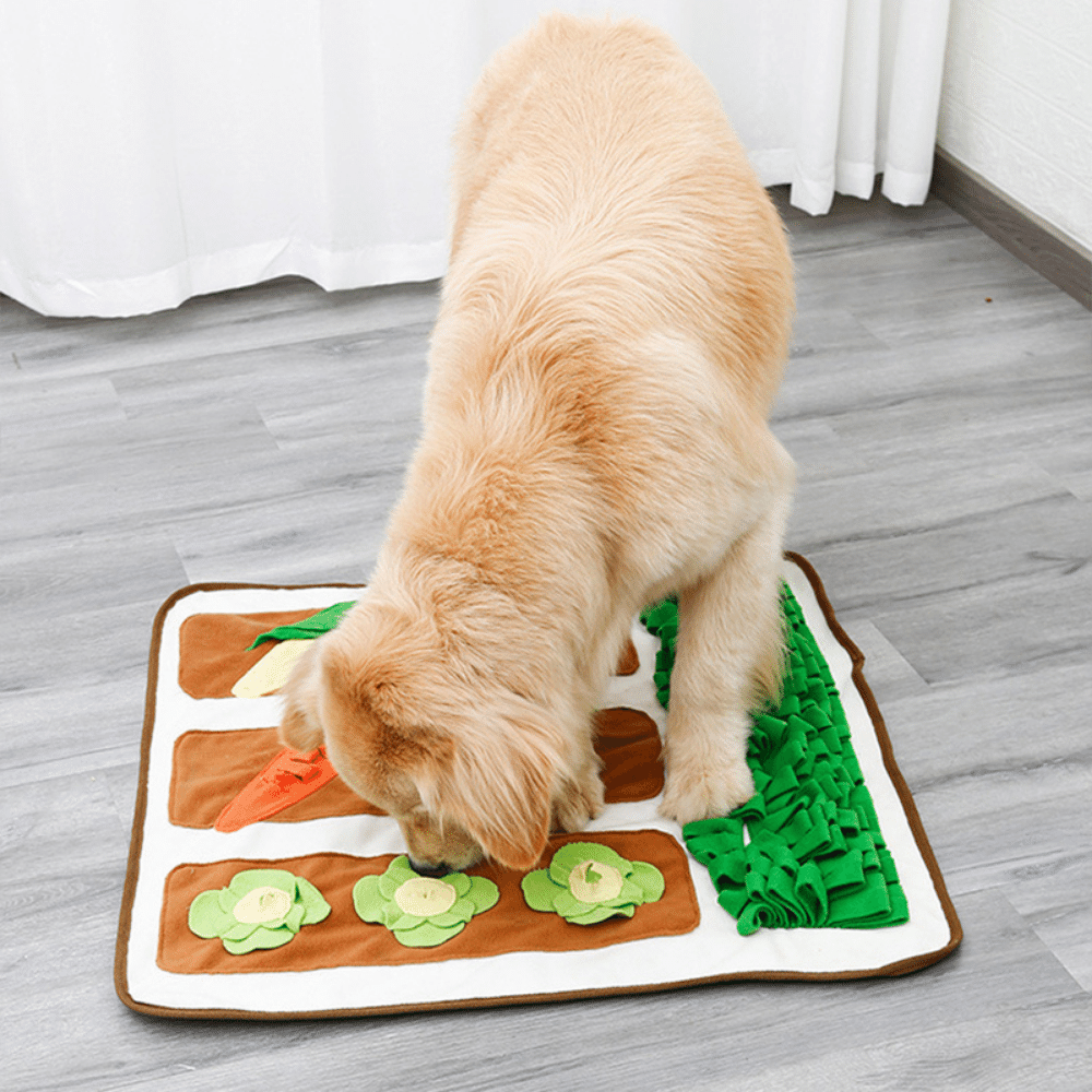 Beige Pet Smelling Mat