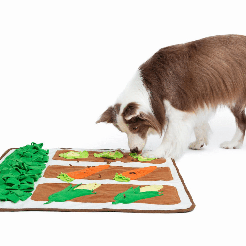 Beige Pet Smelling Mat