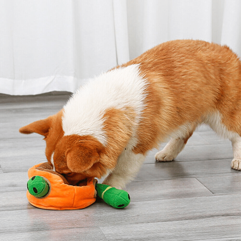 Bite-resistant Molars For Walking The Dog Indoors