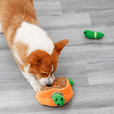 Bite-resistant Molars For Walking The Dog Indoors