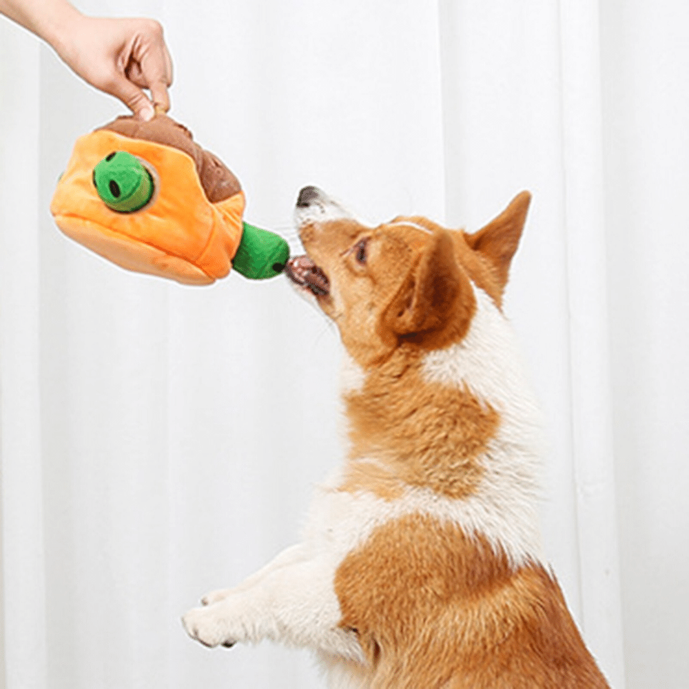 Bite-resistant Molars For Walking The Dog Indoors