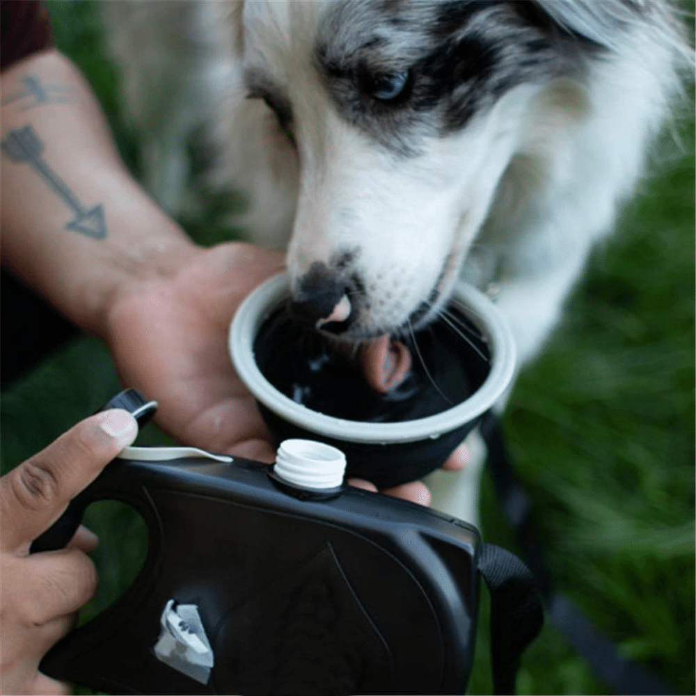 Black 4 in 1 Retractable Dog Leash and Collapsible Bowl