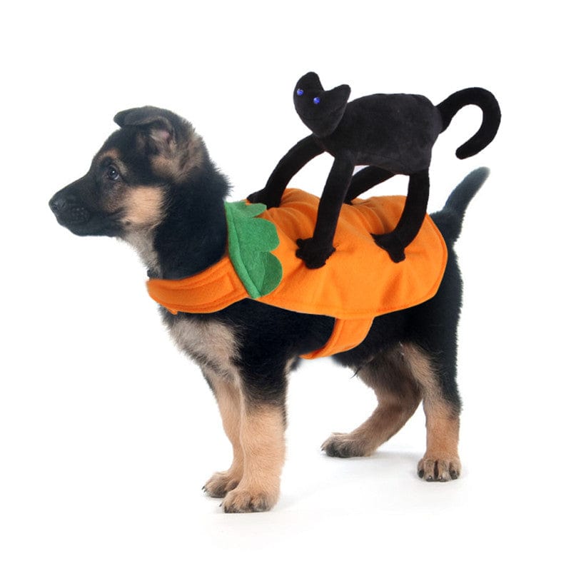 Black Cat Riding Dog Costume