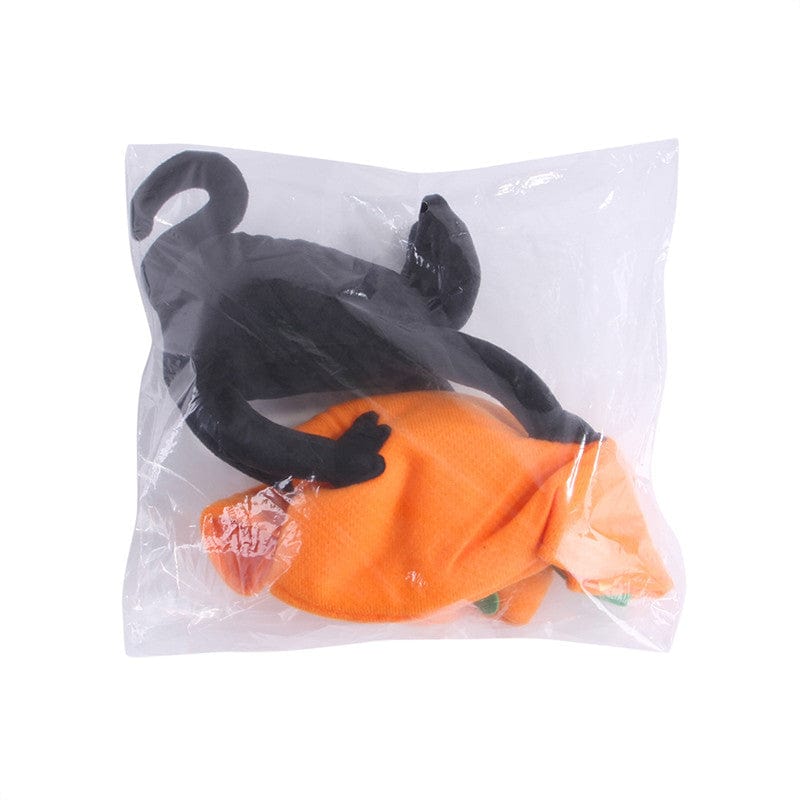 Black Cat Riding Dog Costume