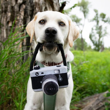 Black Dog camera photo prop toy