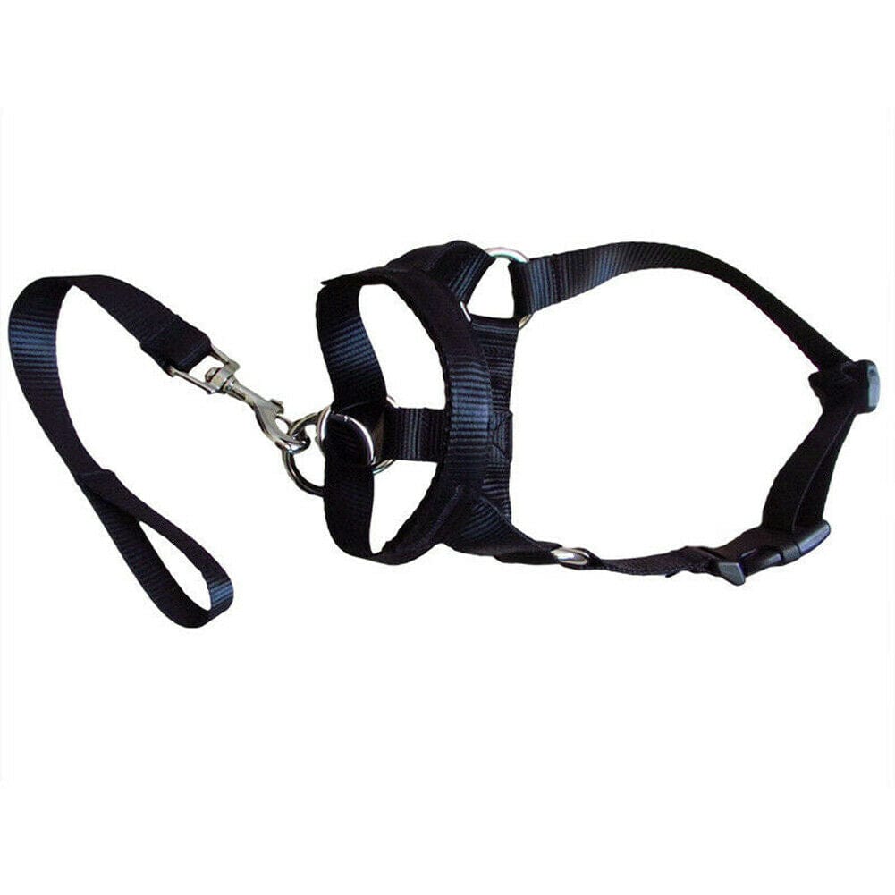 Black / M Dog rectification rushing leash dog cover