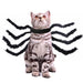 Black / M Spider Dog Costume