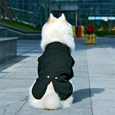 Black Tuxedo Dog Costume