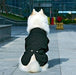 Black Tuxedo Dog Costume