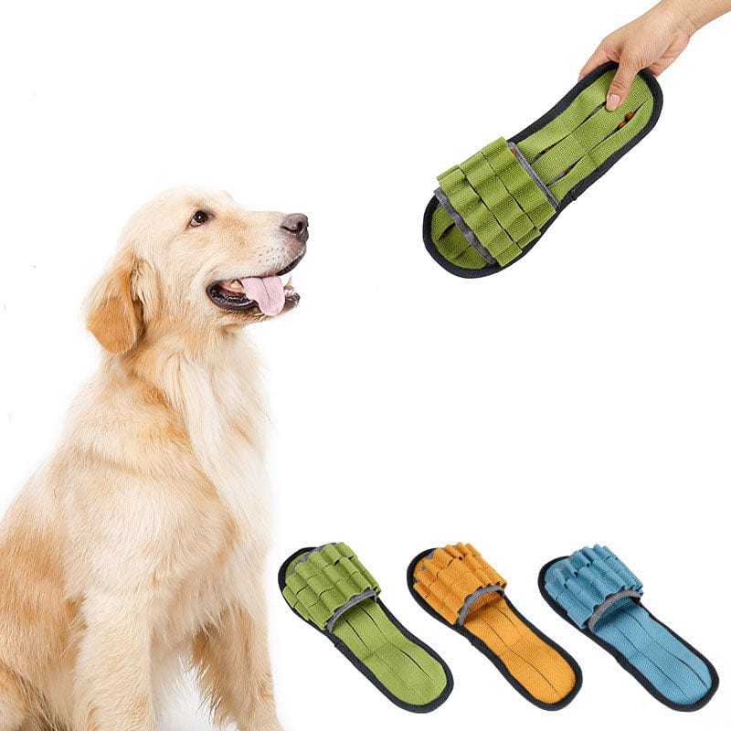 Blue Bite resistant dog toy