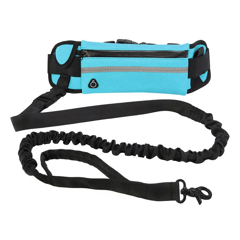 Blue Hands Free Running Bungee Dog Leash With Waist Pouch