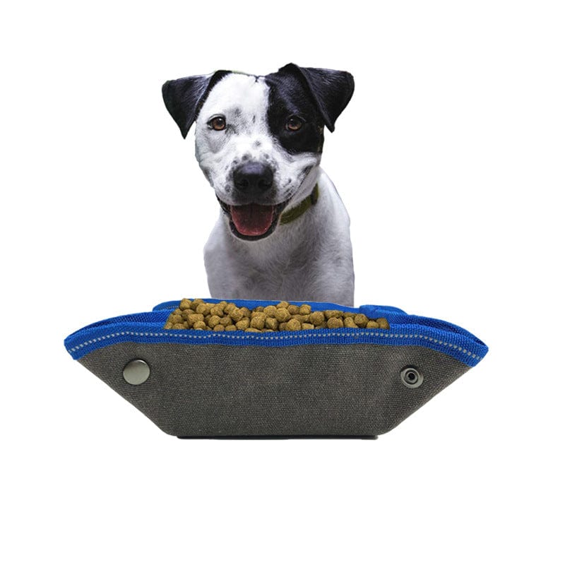 Blue / Large Folding Dog Bowl Large Canvas Dog Food Bag