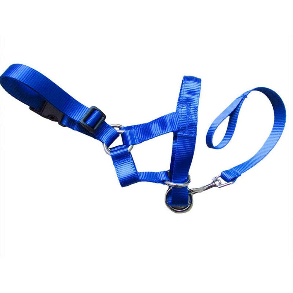 Blue / S Dog rectification rushing leash dog cover