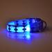 Blue / Squared / S USB Rechargeable LED Flashing Nylon Dog Collar