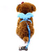 Blue / XS Angel Wings Dog Harness and Leash Set