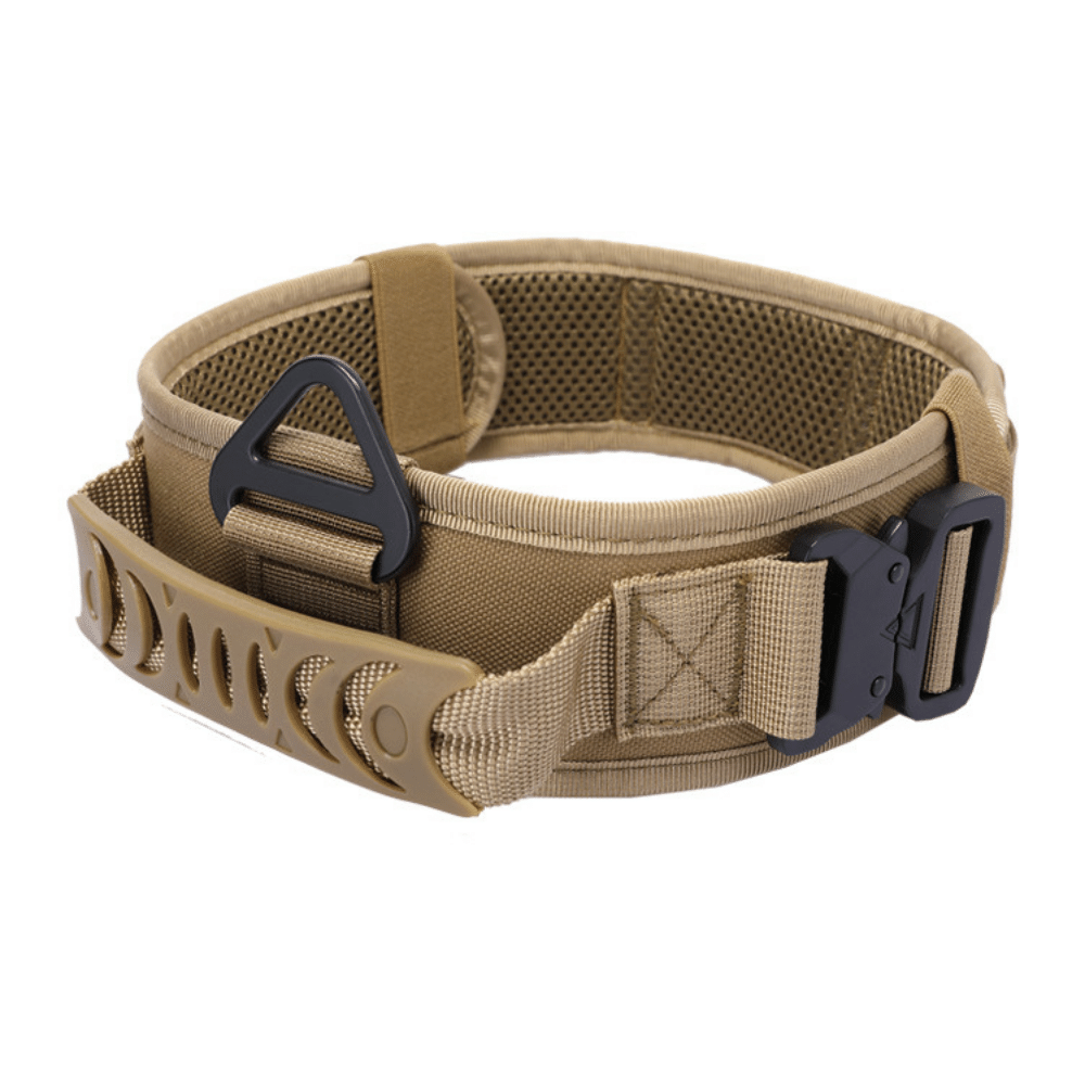 Brown Quick Release Metal Buckle Outdoor Dog Walking Collar