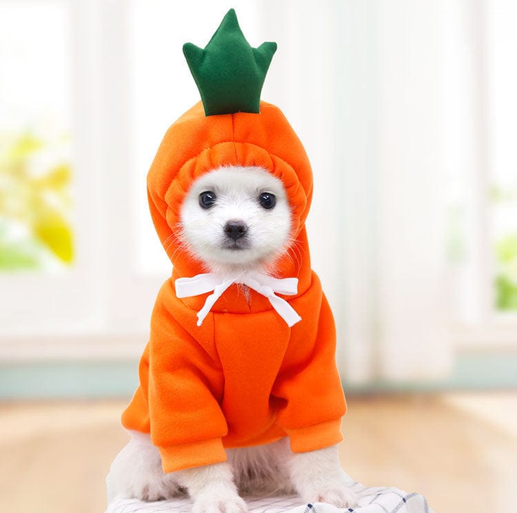 Carrot Dog Hoodie Sweater