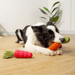 Carrot Pet Bite-resistant Vocal Rubber Toy