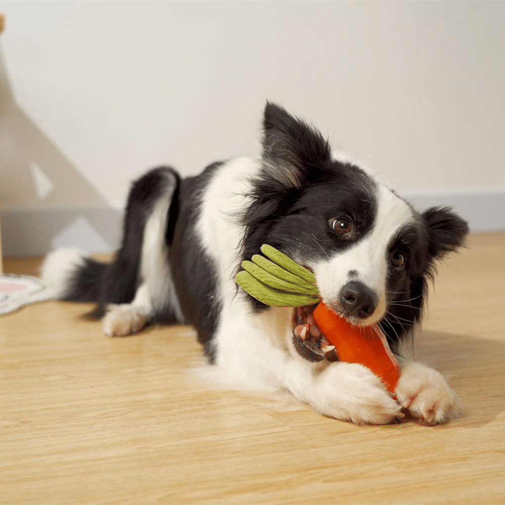 Carrot Pet Bite-resistant Vocal Rubber Toy