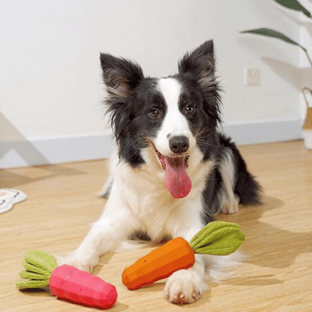 Carrot Pet Bite-resistant Vocal Rubber Toy