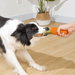 Carrot Pet Bite-resistant Vocal Rubber Toy