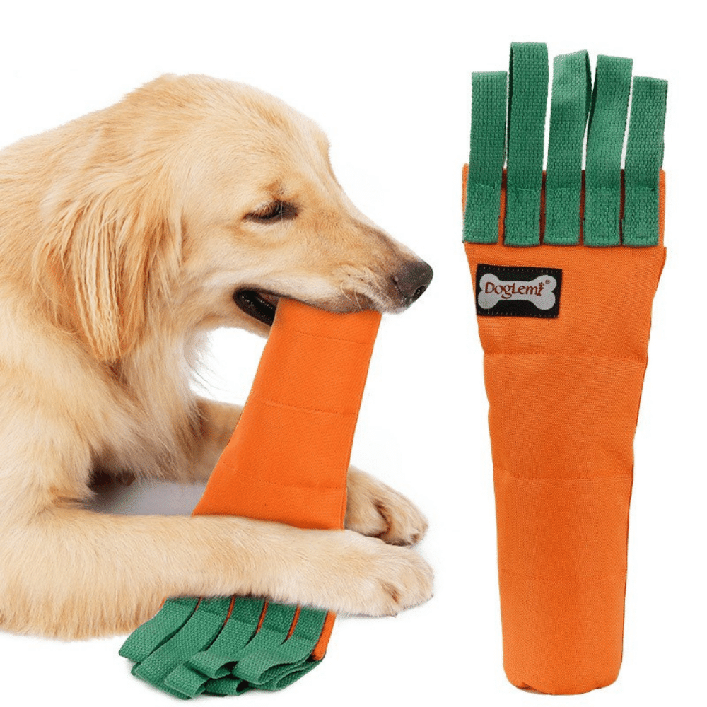 Carrot Plastic Bottle Dog Chew Toy