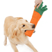 Carrot Plastic Bottle Dog Chew Toy