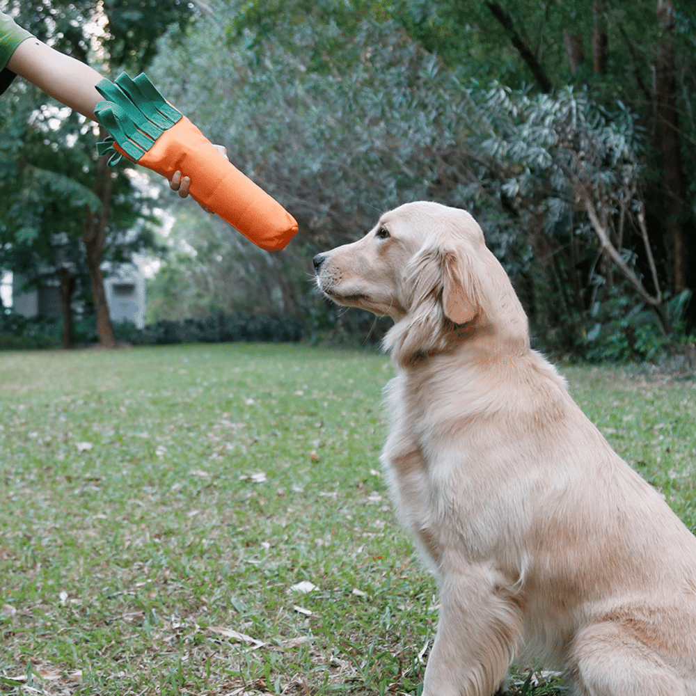 Carrot Plastic Bottle Dog Chew Toy