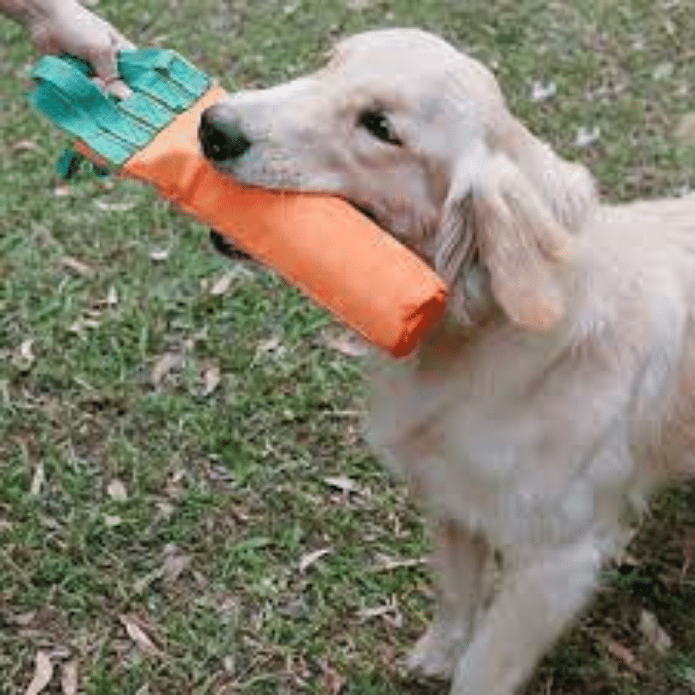 Carrot Plastic Bottle Dog Chew Toy