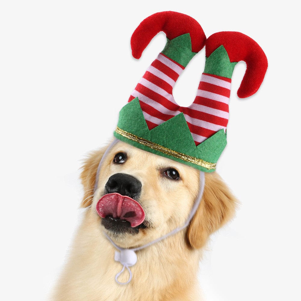 Christmas Elf Legs Dog Hat