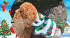 Christmas Tree Dog Costume