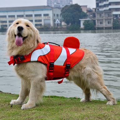 Clownfish Dog Life Jacket