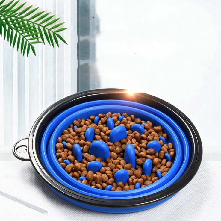 Collapsible Travel Slow Feeder Dog Bowl