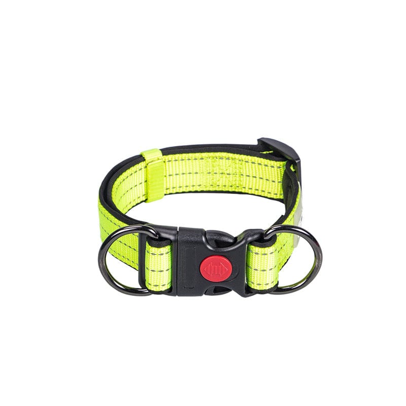 Collared Dog Small Dog Medium And Large Leash