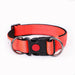 Collared Dog Small Dog Medium And Large Leash