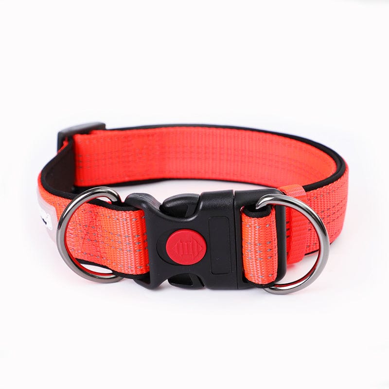 Collared Dog Small Dog Medium And Large Leash