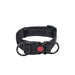 Collared Dog Small Dog Medium And Large Leash