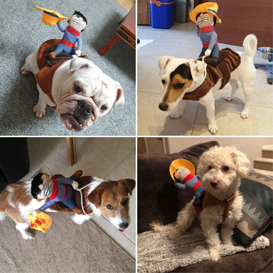 Cowboy Rider Dog Costume