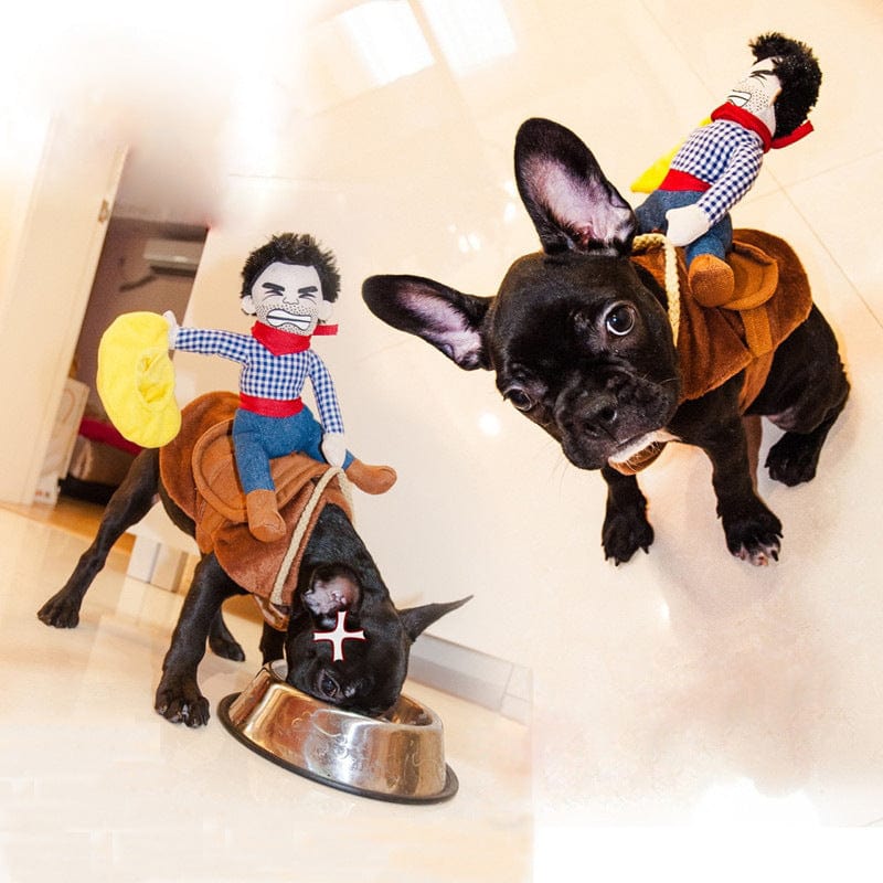 Cowboy Rider Dog Costume