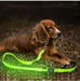 Creative LED USB Charging Luminous Pet Leash