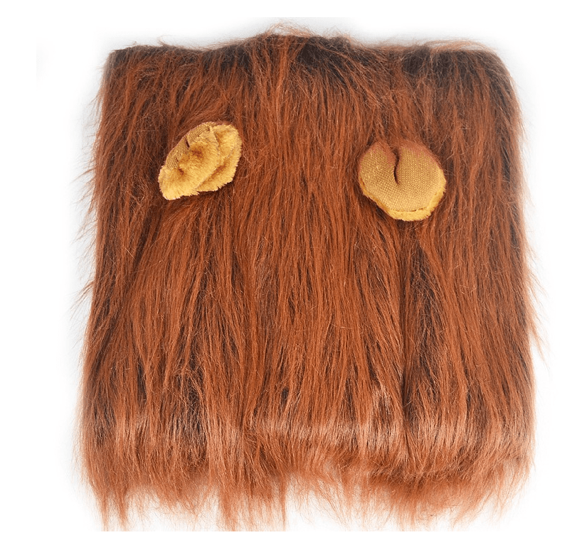 Dark brown Lion's Mane Dog Costume