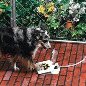 default Outdoor Dog Pet Water Fountain