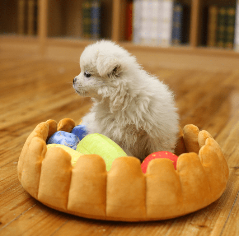 default Pet plush cat dog mat kennel cat litter winter warm creative pet mat fruit egg tart bed