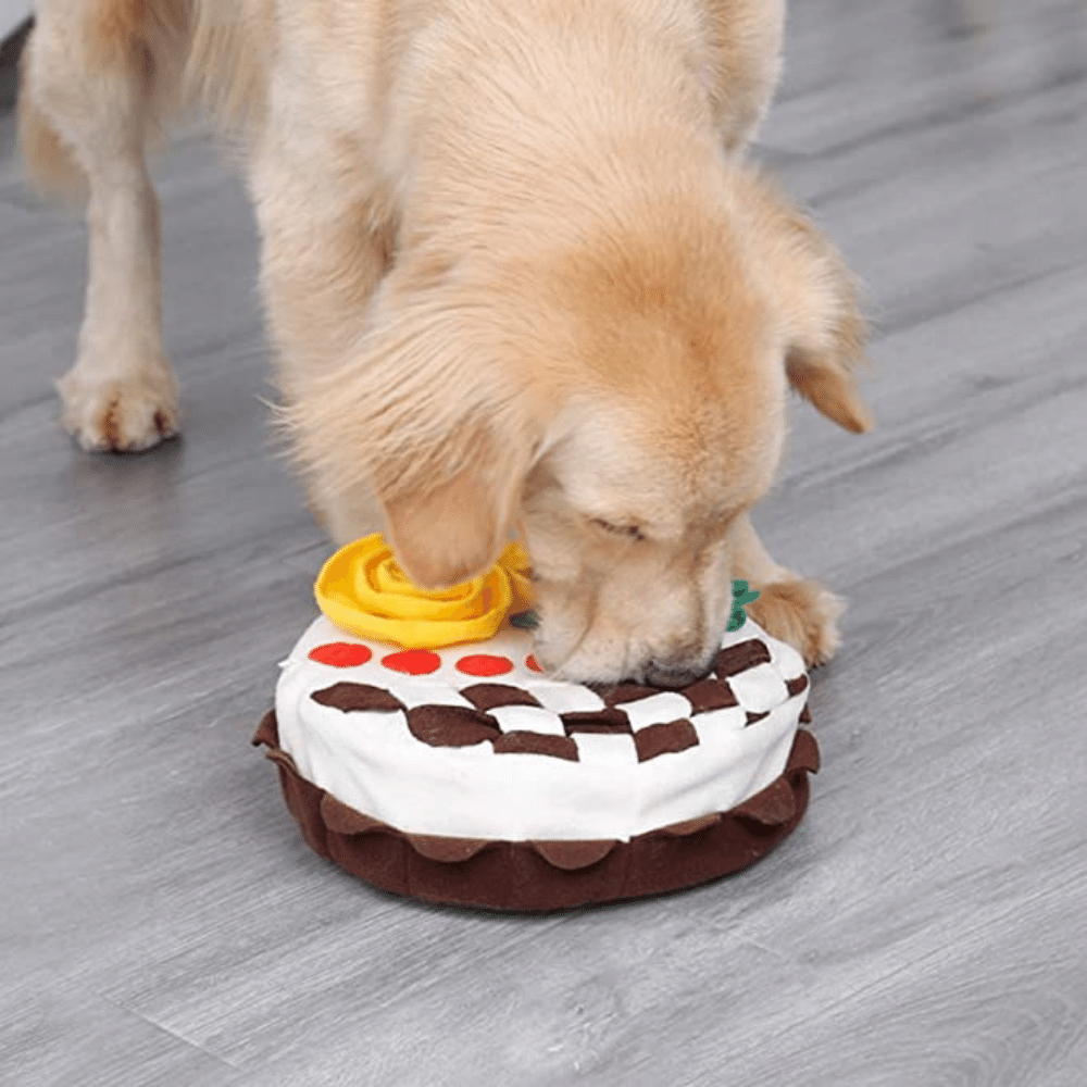 Dog birthday cake sniffing pad