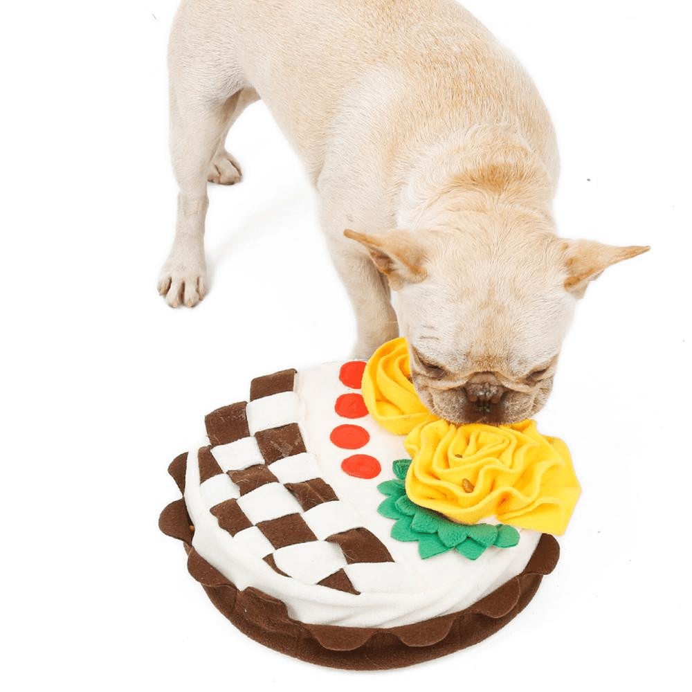 Dog birthday cake sniffing pad