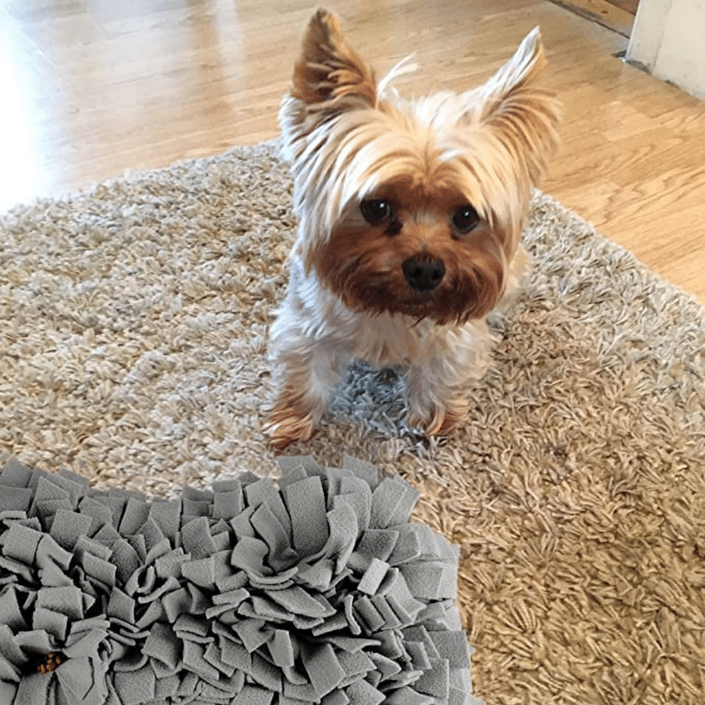 Dog Bone Shaped Snuffle Mat