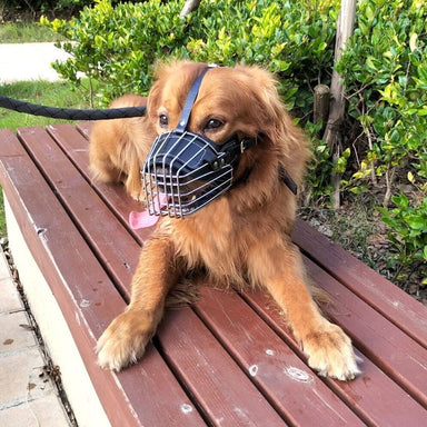 Dog Muzzle Adjustable Basket Soft Straps Rubber Pet Anti-bite Muzzle