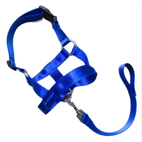 Dog rectification rushing leash dog cover