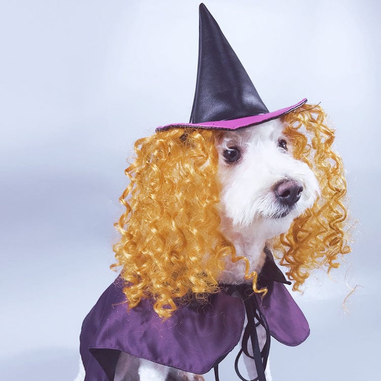 Dog Witch Turned Into A Purple Cloak